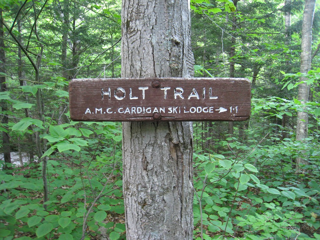 Mt Cardigan NH 2010 0117.jpg - Mt. Cardigan in New Hampshire. Summited on May 25, 2010. There are numerous trails to the peak... I had to pick the extremely difficult one. The views were worth it.